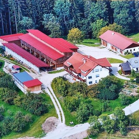 Ferienwohnungen Bauernhof Schilcher Sankt Stefan im Lavanttal Экстерьер фото