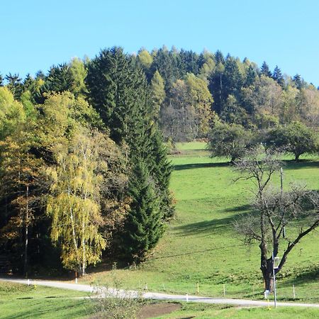 Ferienwohnungen Bauernhof Schilcher Sankt Stefan im Lavanttal Экстерьер фото