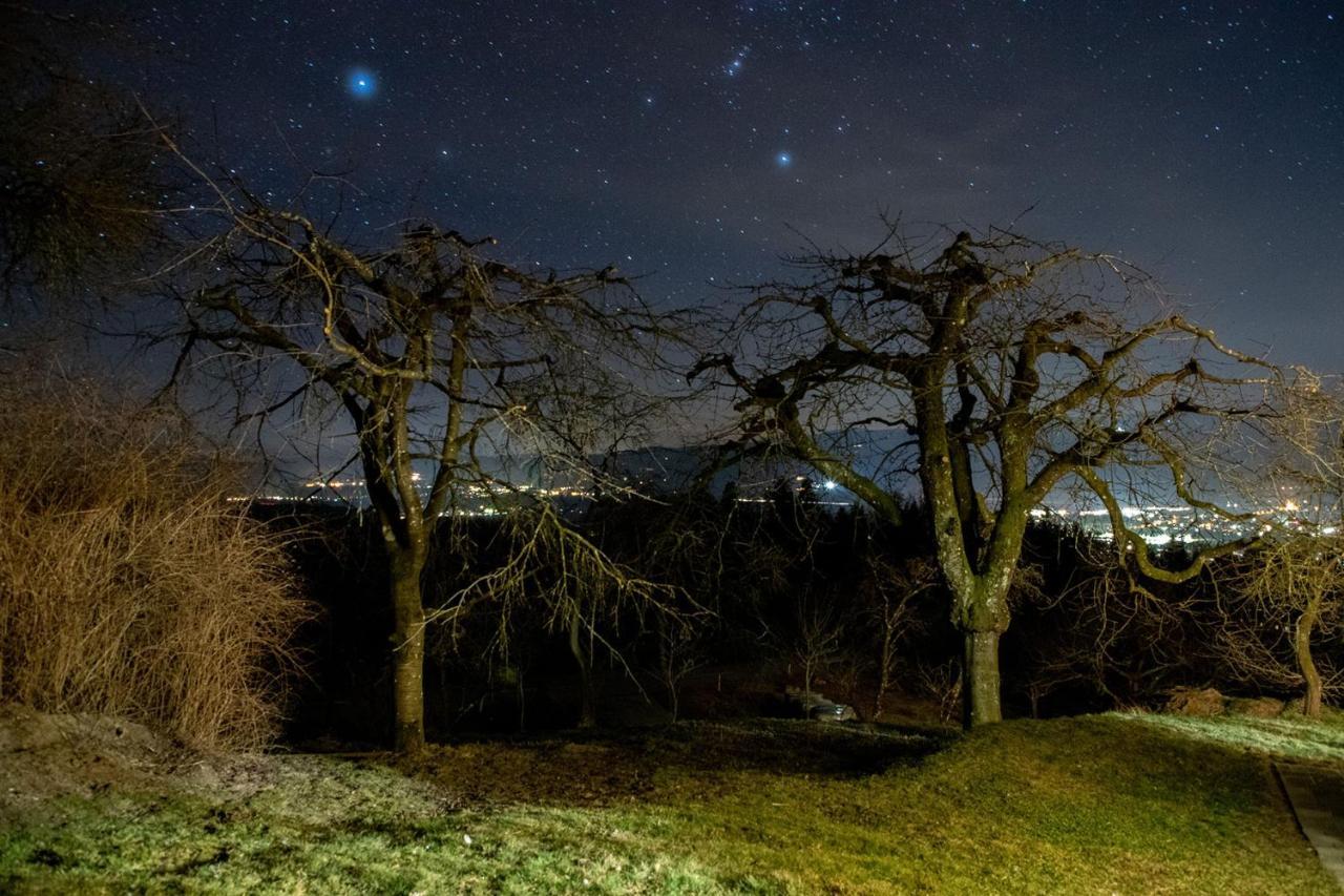 Ferienwohnungen Bauernhof Schilcher Sankt Stefan im Lavanttal Экстерьер фото