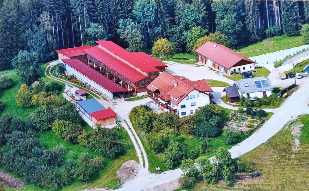 Ferienwohnungen Bauernhof Schilcher Sankt Stefan im Lavanttal Экстерьер фото
