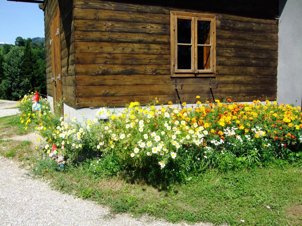 Ferienwohnungen Bauernhof Schilcher Sankt Stefan im Lavanttal Экстерьер фото