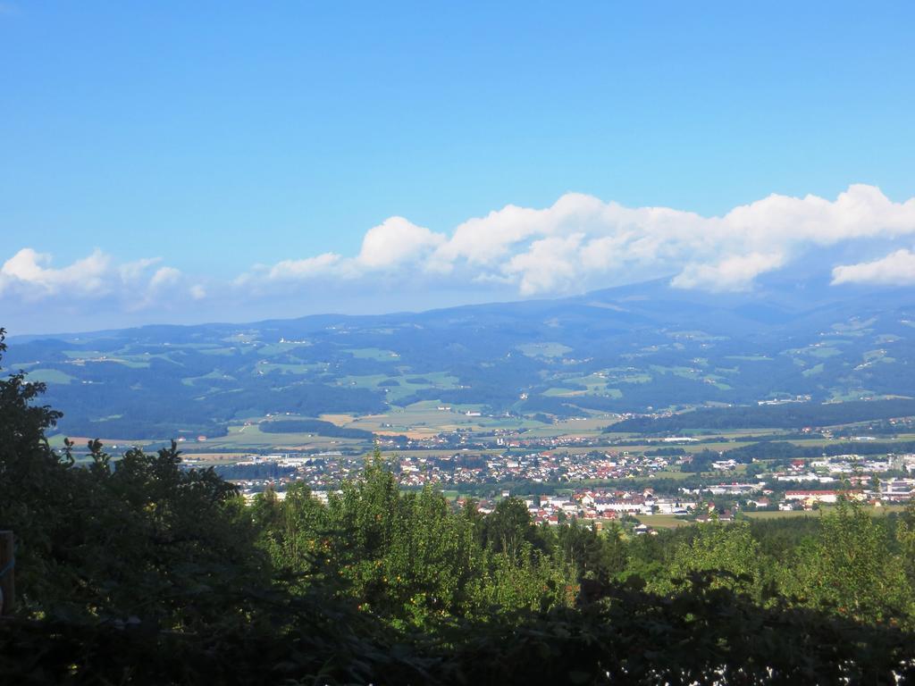 Ferienwohnungen Bauernhof Schilcher Sankt Stefan im Lavanttal Экстерьер фото